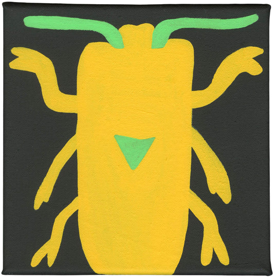 Snap Beetle (P0375)